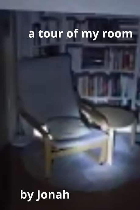   just a fun silly tour of my room, hope you like it :p  A room tour in a dark and occupied environment.  